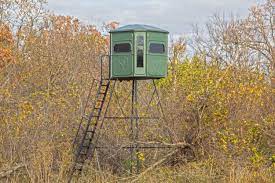 A green deer stand with a ladder in the middle of a forest.