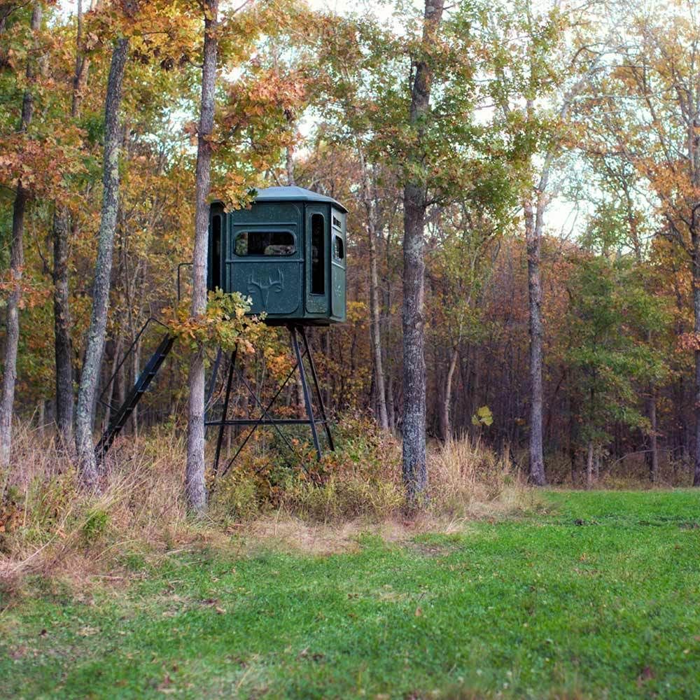 Un ciervo verde se encuentra en medio de un campo en el bosque.