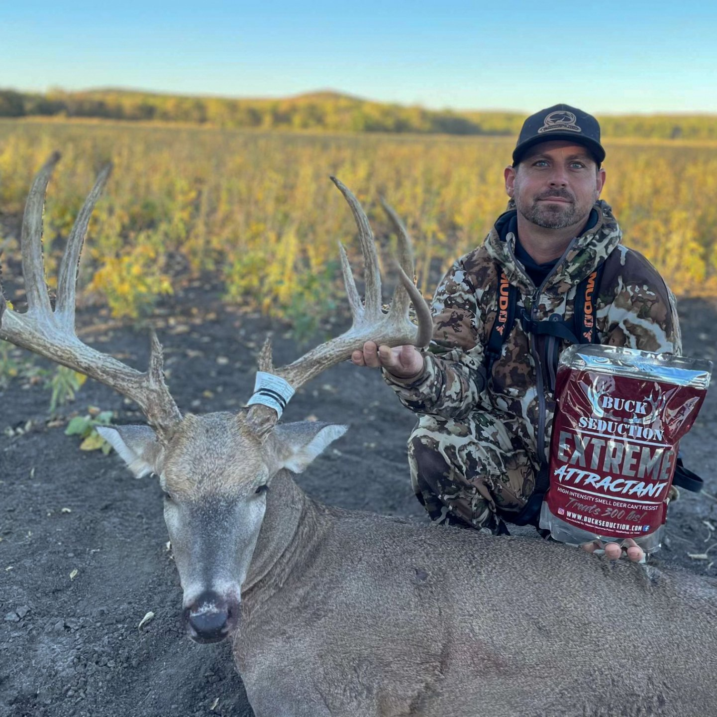 Buck Seduction Attractant