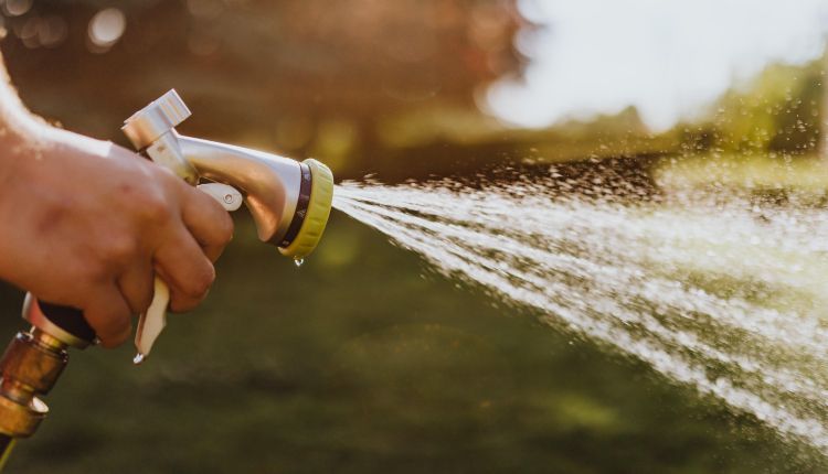 watering-with-hose