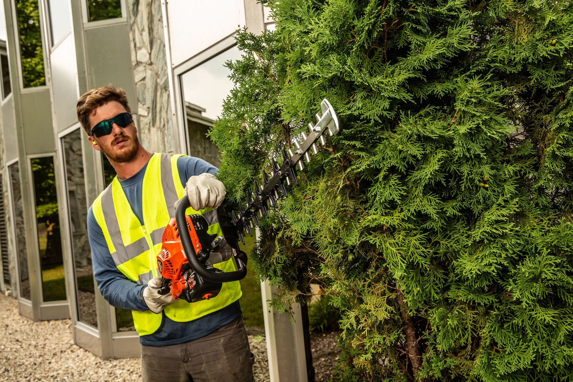a man wearing a yellow vest is cutting a tree with a echo hedge trimmer