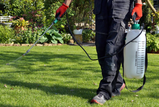 a man is spraying a lawn with a sprayer .