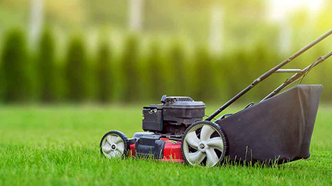 a lawn mower is cutting a lush green lawn .