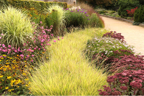 A garden filled with lots of flowers and grass