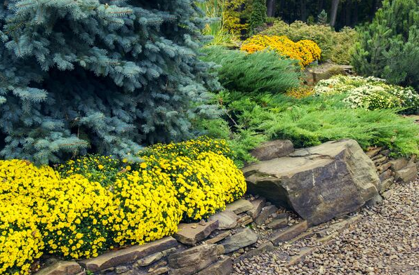 A garden filled with lots of flowers and trees.