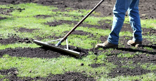 Healthy Lawn Full Website (Copy, 234 selected)