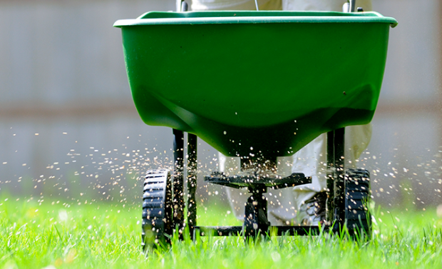 How  Organic Lawn  Care Benefits  Long-Term Soil Health thumbnail