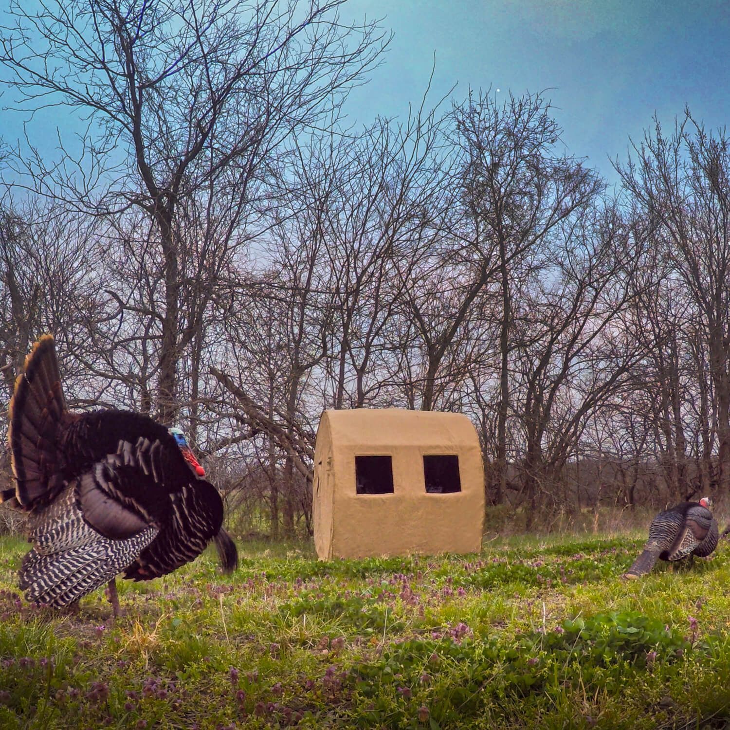 a redneck 6 x 6 HD burlap bale blind