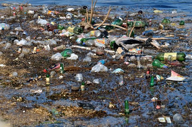 a large pile of trash is floating on top of a body of water .