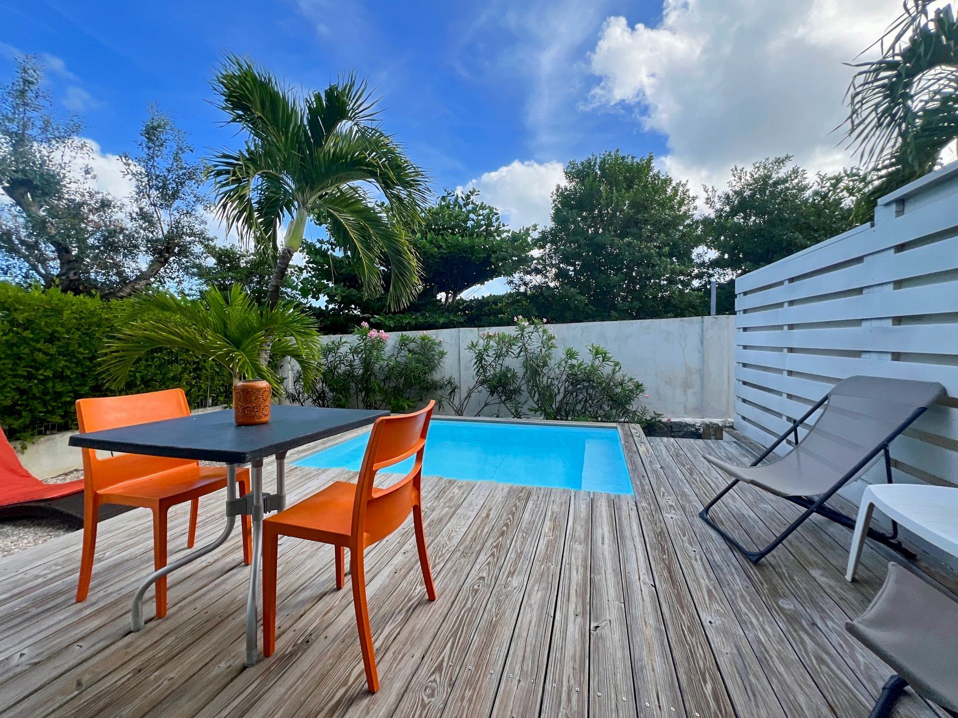 Mango Orange — Saint-Martin