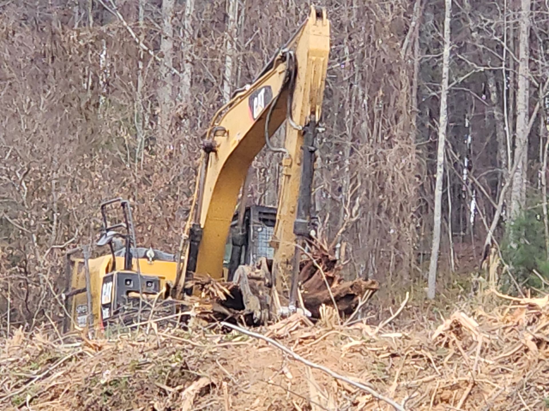 Yellow excavator clearing land in a wooded area; trees in the background.