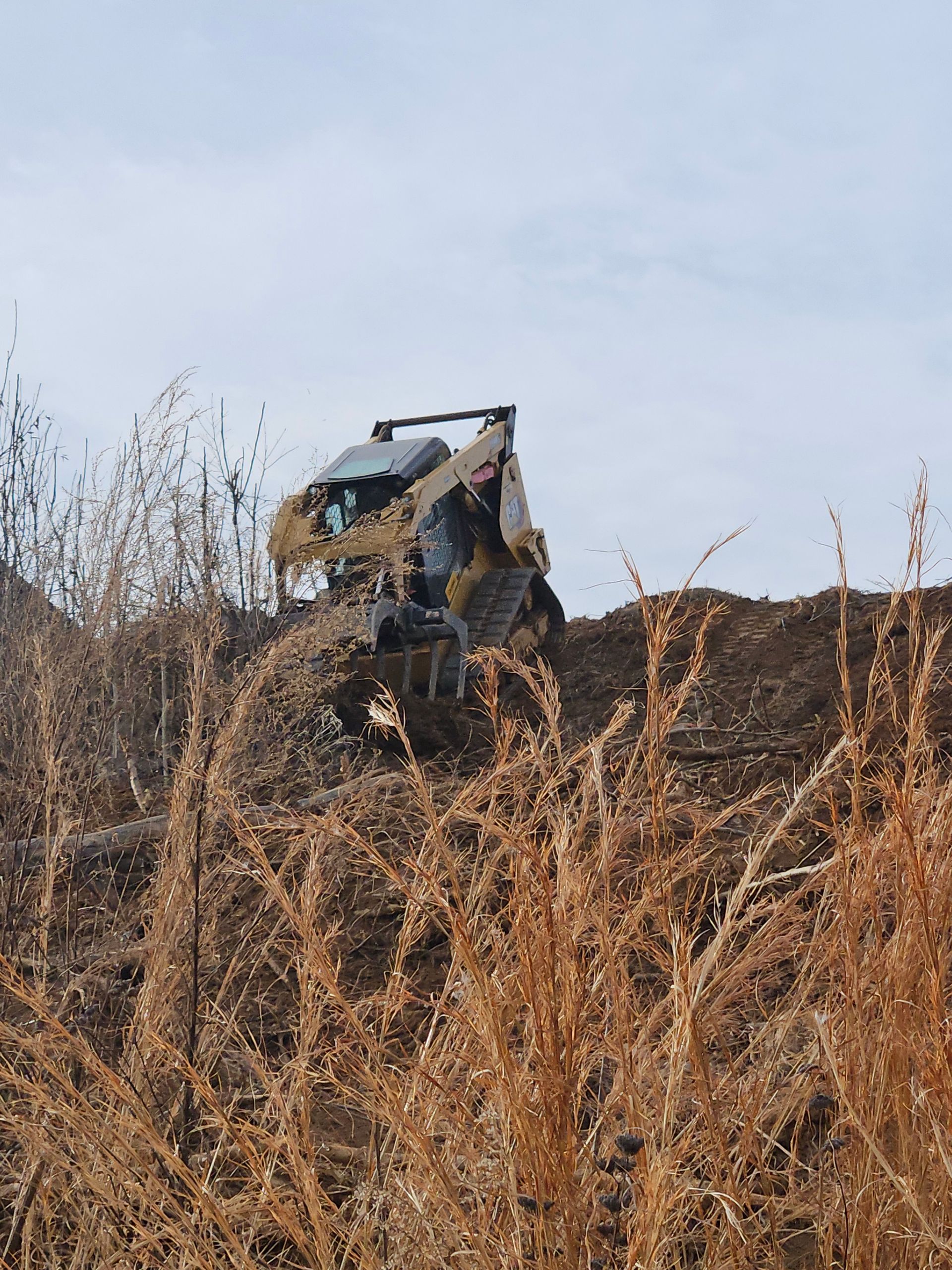 A yellow skid steer tractor on a dirt pile, with brown dried grass in the foreground.
