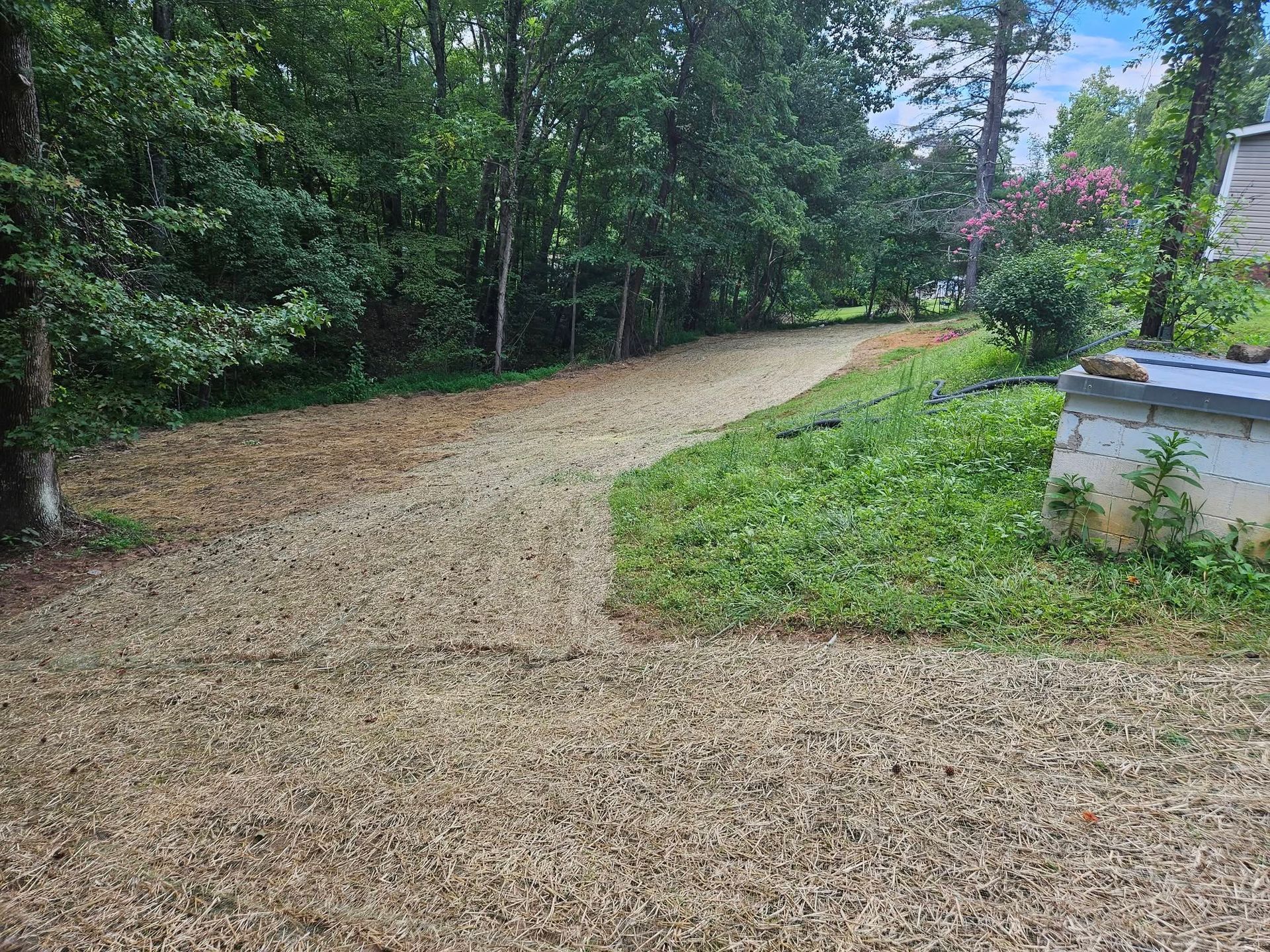 Gravel driveway curving through a wooded yard beside a grassy area and white outbuilding.