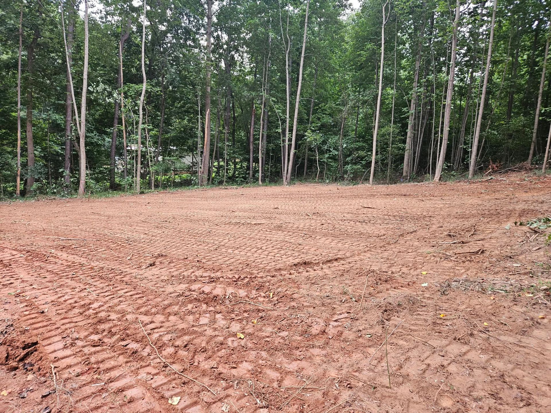 Freshly graded dirt lot with tire tracks beside a line of tall green trees