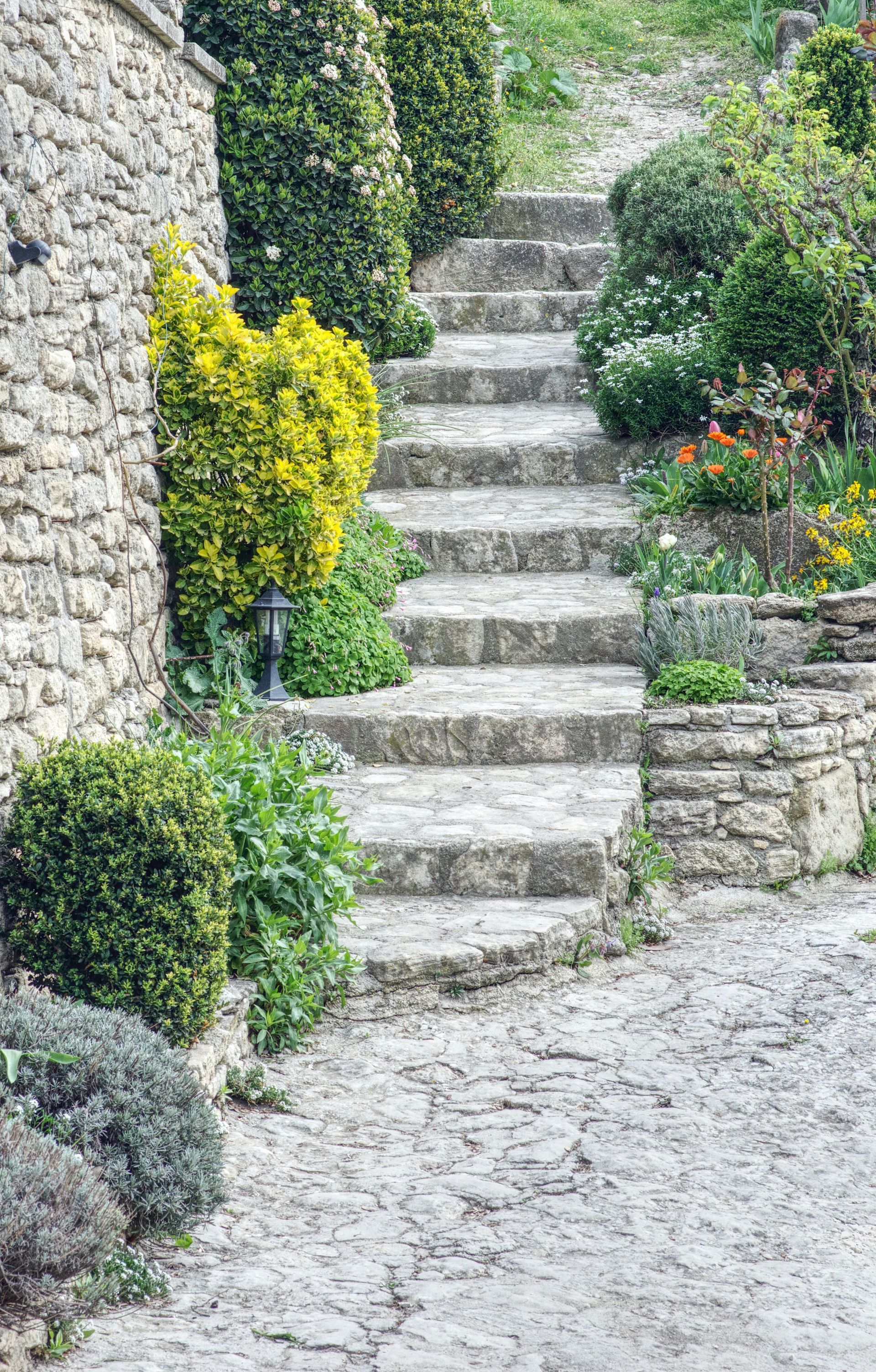Stone staircase surrounded by lush green and yellow bushes, leading upwards beside a stone wall.