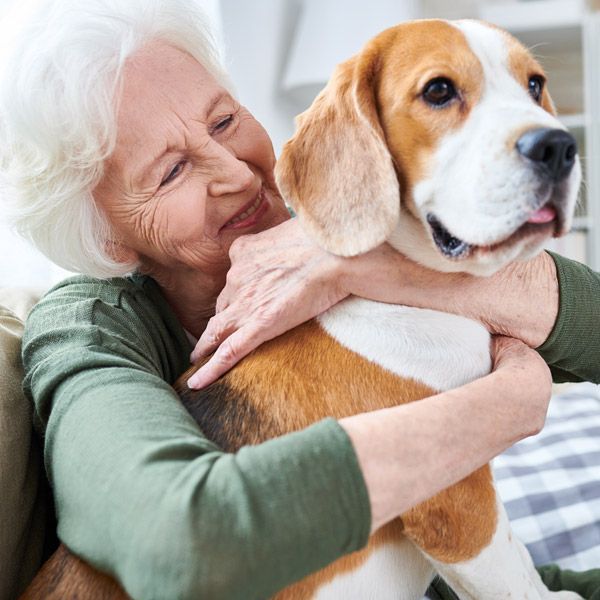 Smiling elderly woman hugging a brown-and-white beagle on a couch
