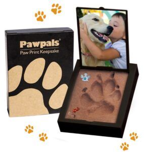 Pawpals paw print keepsake box with framed photo of girl hugging a dog and a paw print mold