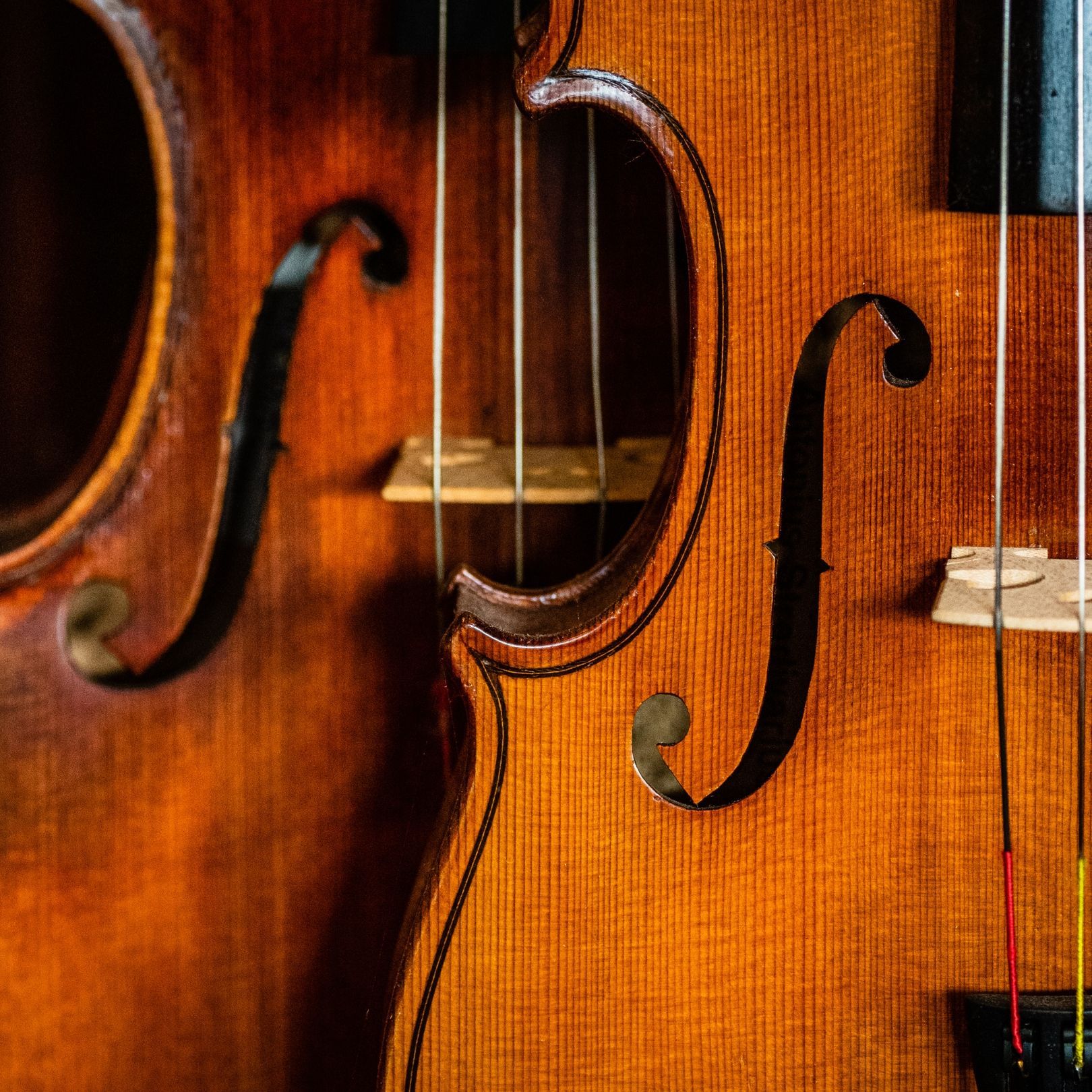 Close-up of polished wooden violins with black f-holes and strings