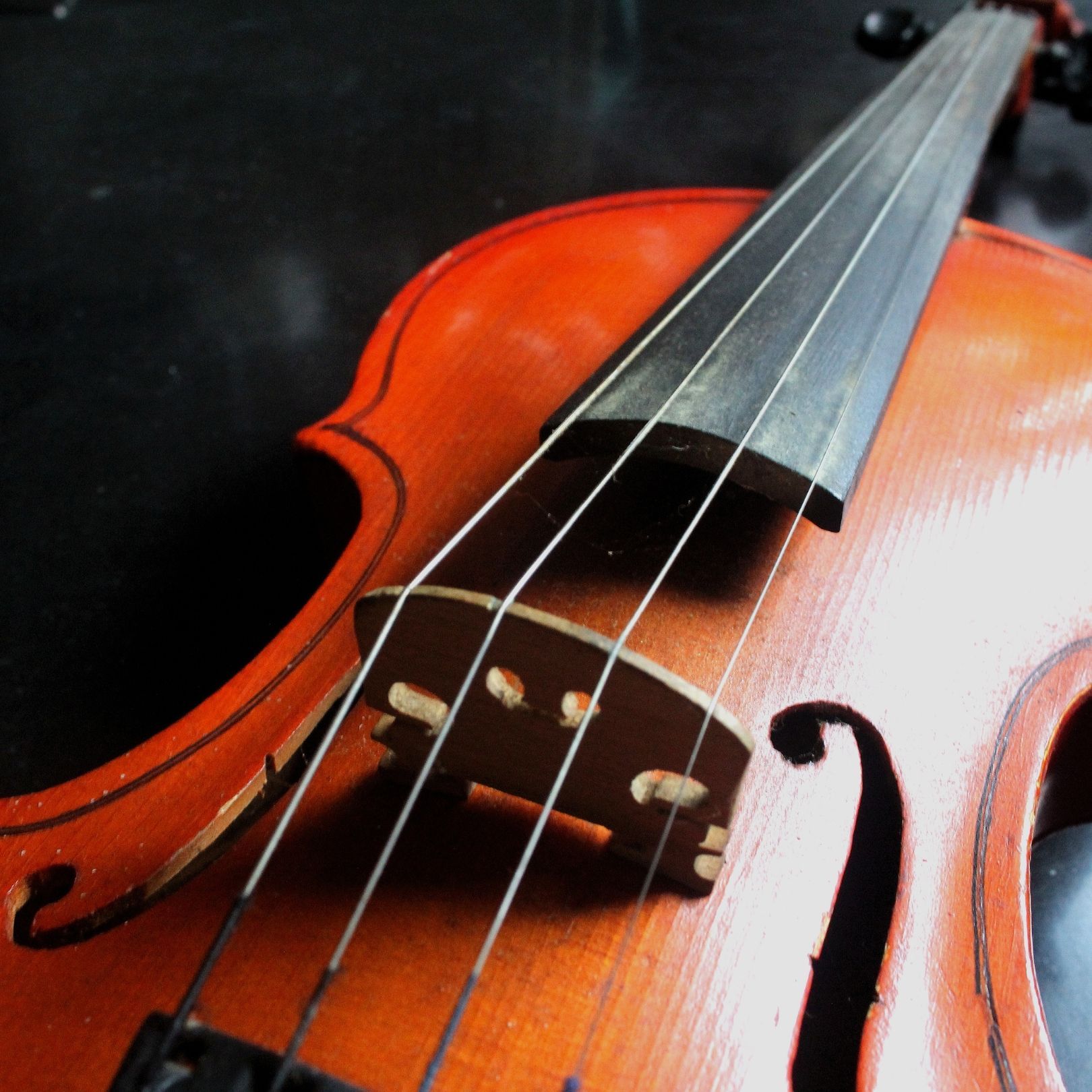 Close-up of a violin with warm orange-brown wood and visible strings