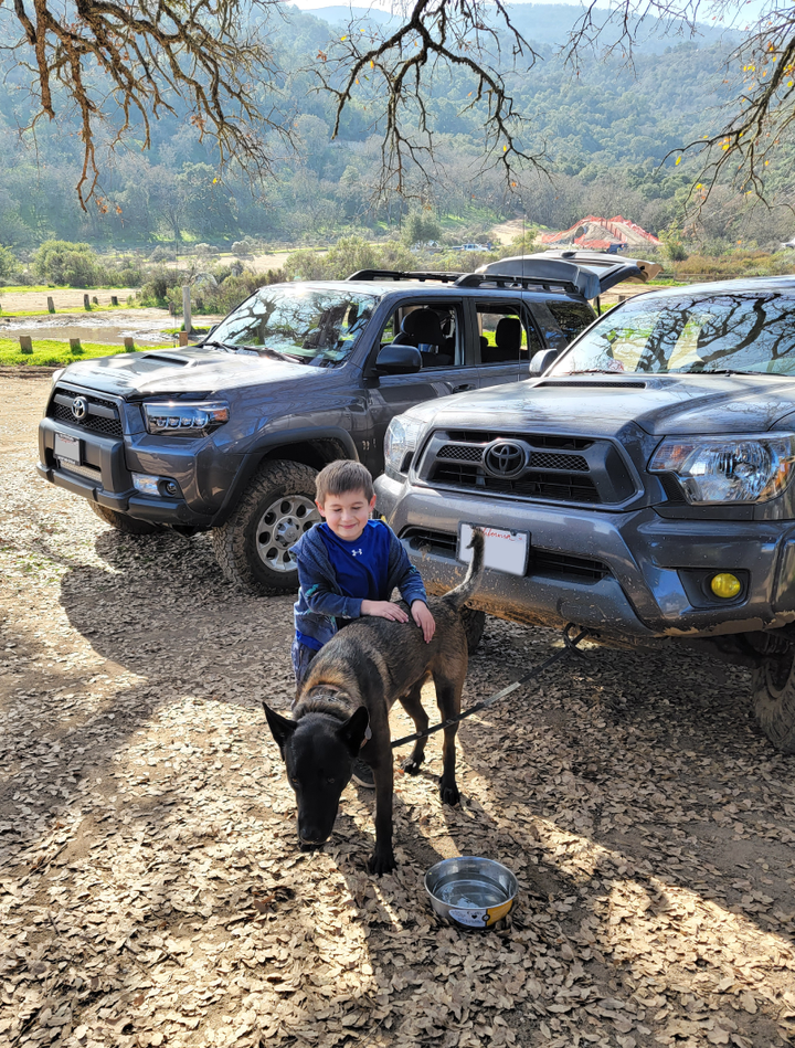 Review | Spiteri's Complete Auto Service