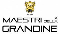 logo Maestri della grandine