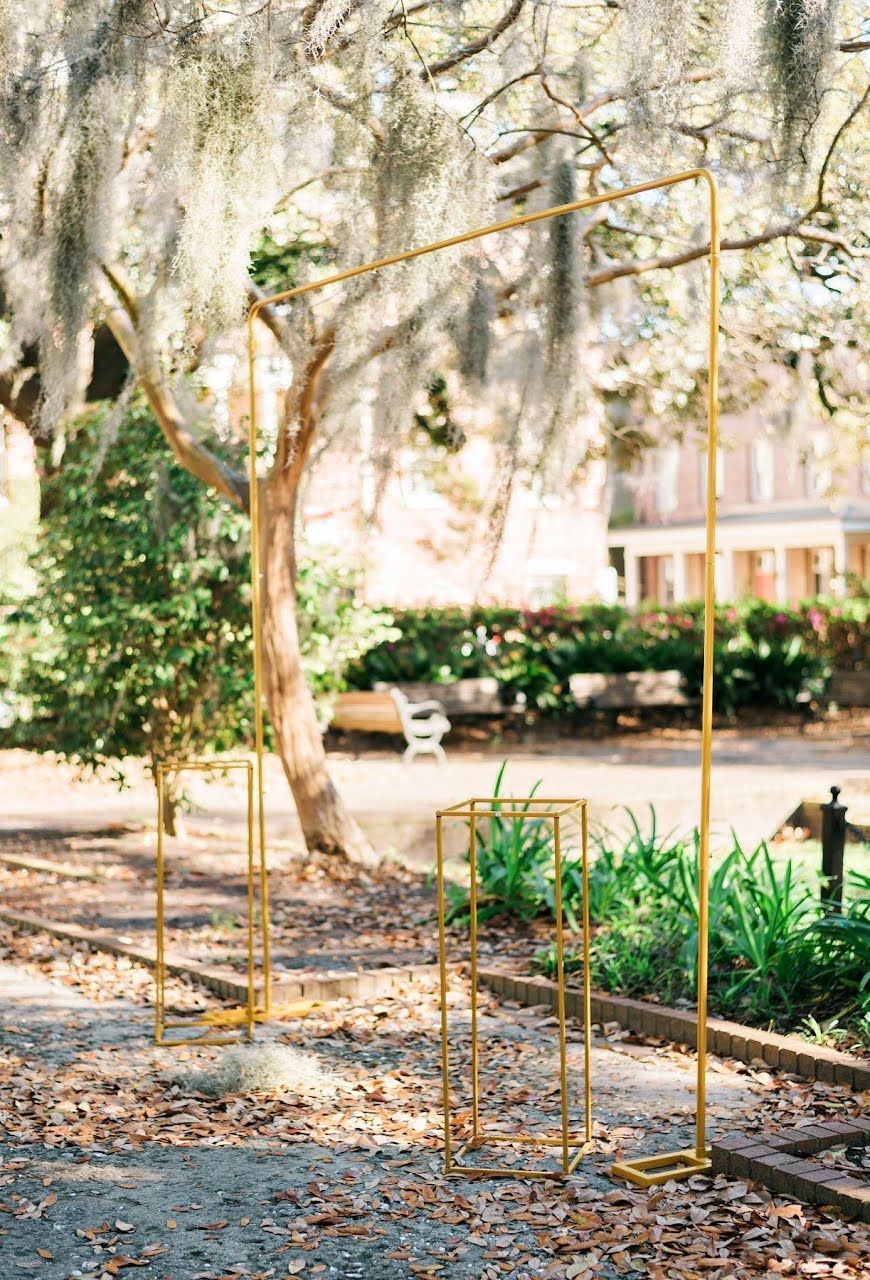 Metal frame garden structure in a sunlit park beside a tree and shrubs