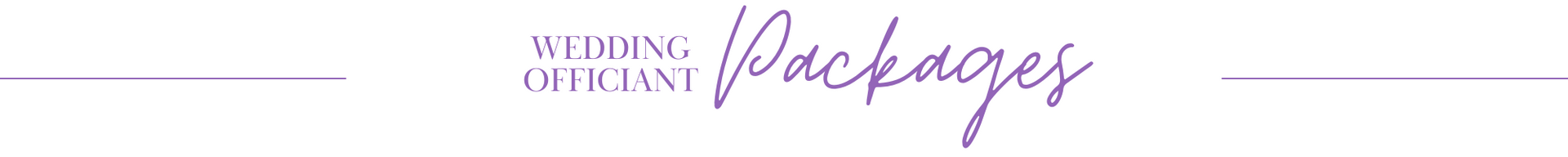 Wagoneer Packages logo in purple script on a white background