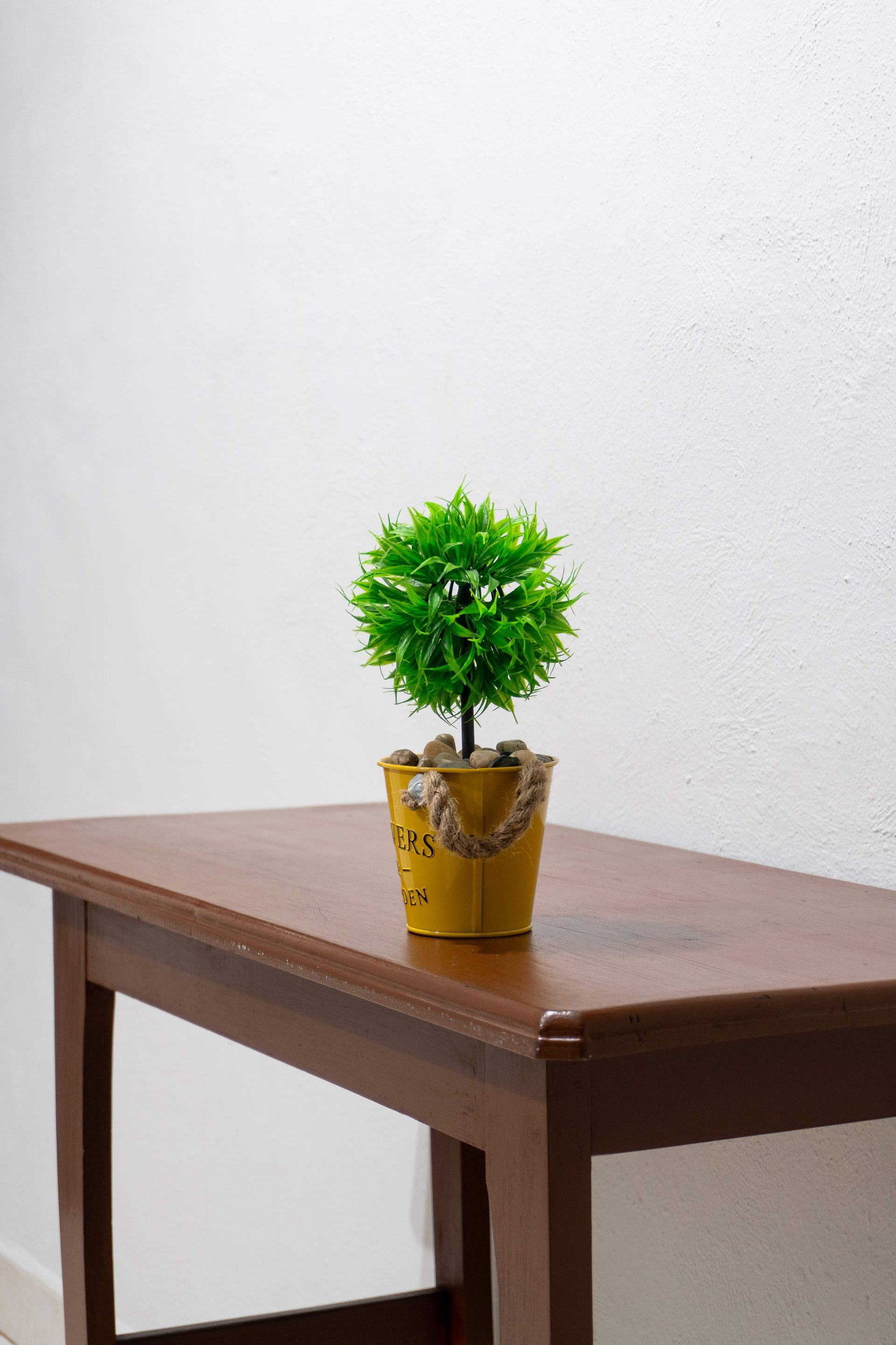 Pequeña planta verde en maceta amarilla sobre una mesa de madera contra una pared blanca.
