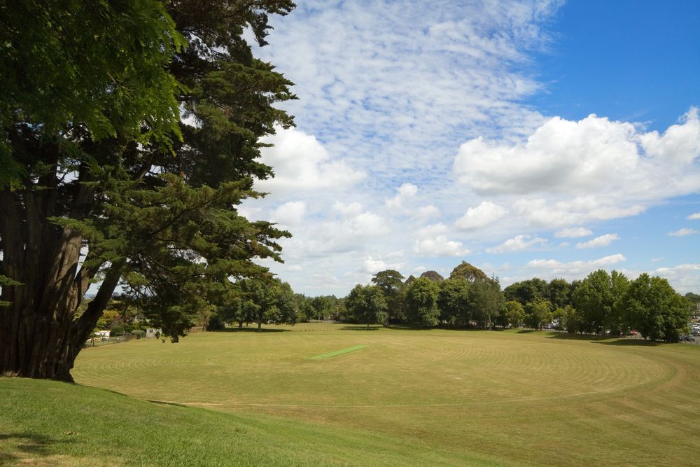 A Large Grassy Field With Trees In The Background And A Blue Sky With Clouds — All Hours Vac Truck In Yeppoon, QLD