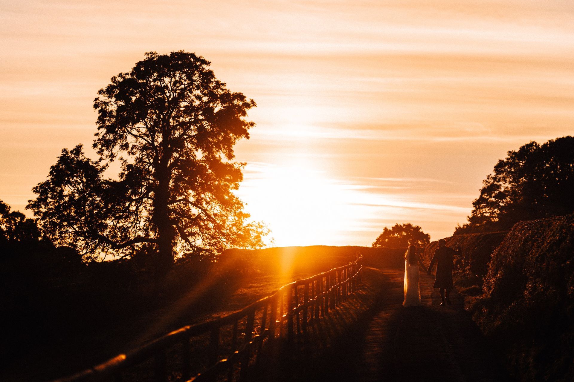 The sun is setting behind a tree and a fence