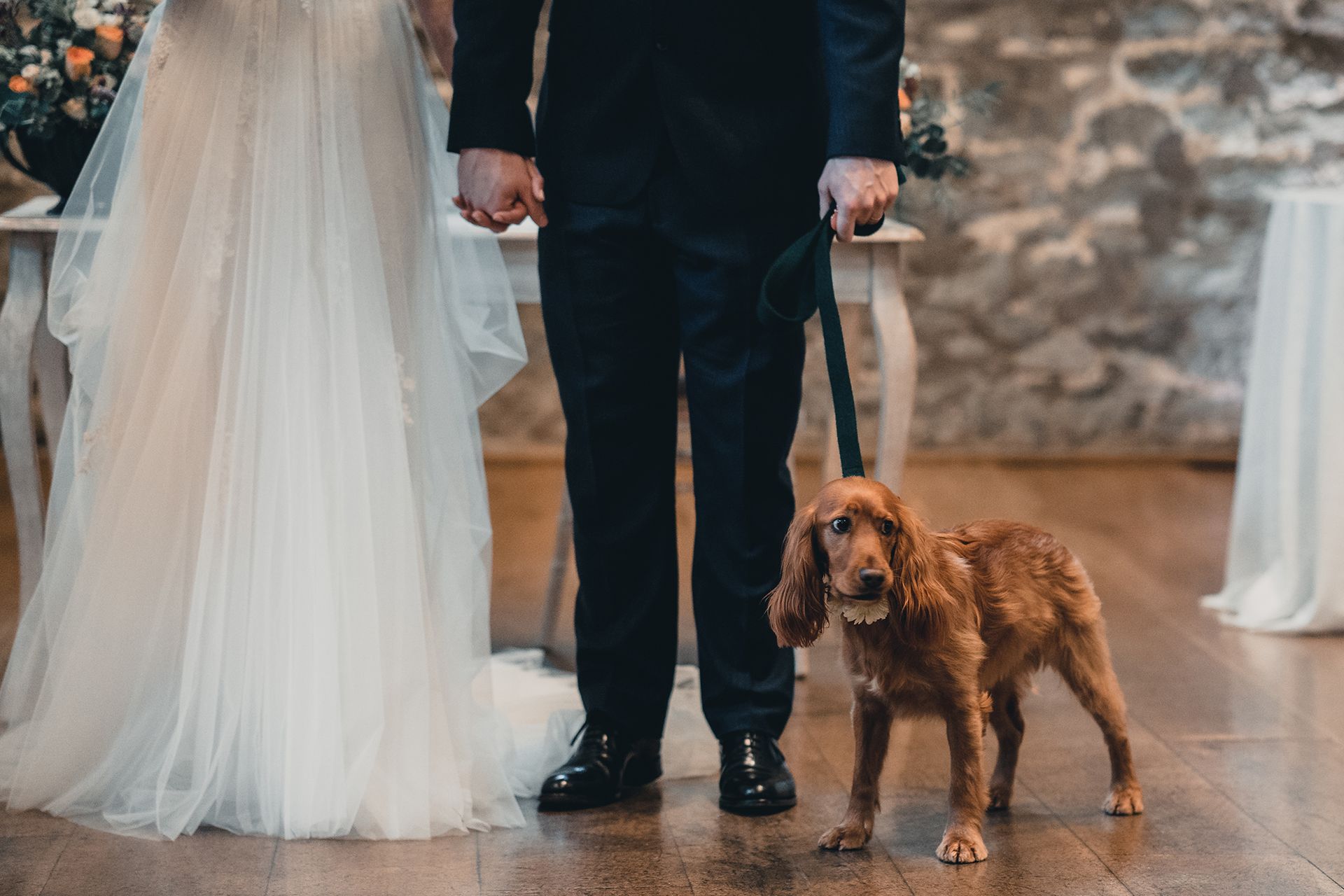 A bride and groom are holding hands with their dog at their wedding.