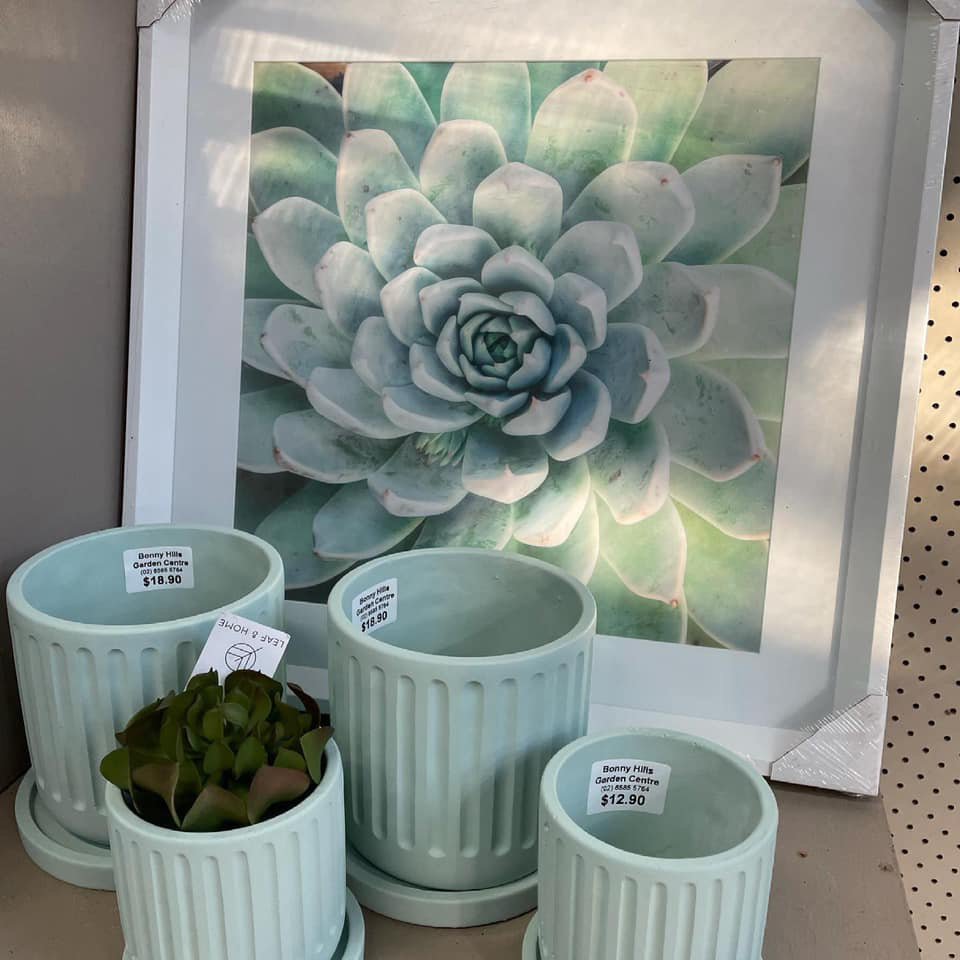 Garden Centre Near Wauchope Bonny Hills Garden Centre