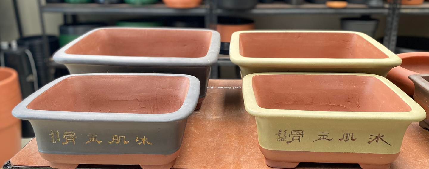 Plant Pots in Port Macquarie Region Bonny Hills Garden Centre