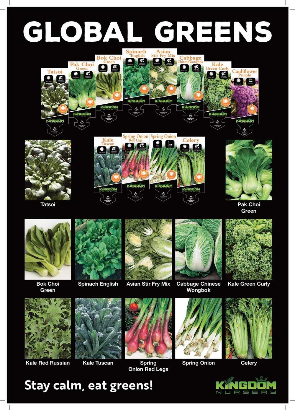 Kingdom Nursery in Port Macquarie Region Bonny Hills Garden Centre