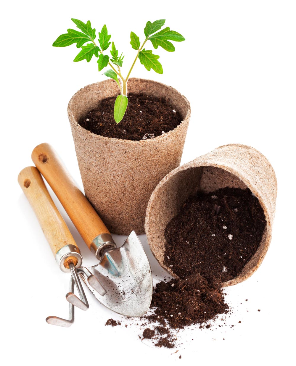 Plant Nursery in Bonny Hills Bonny Hills Garden Centre