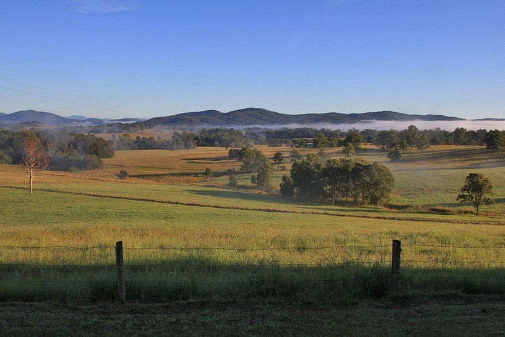 Rural Landscape Morning Scene — Garden Centre in Wauchope NSW Rural Landscape Morning Scene — Garden Centre in Wauchope NSW