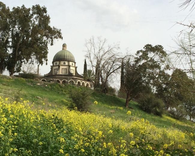 Dome-shaped church atop a grassy hill with yellow wildflowers. Trees frame the building under a cloudy sky.