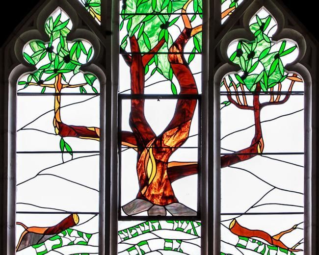 Romans 11 Olive Tree glass at Christ Church Jerusalem