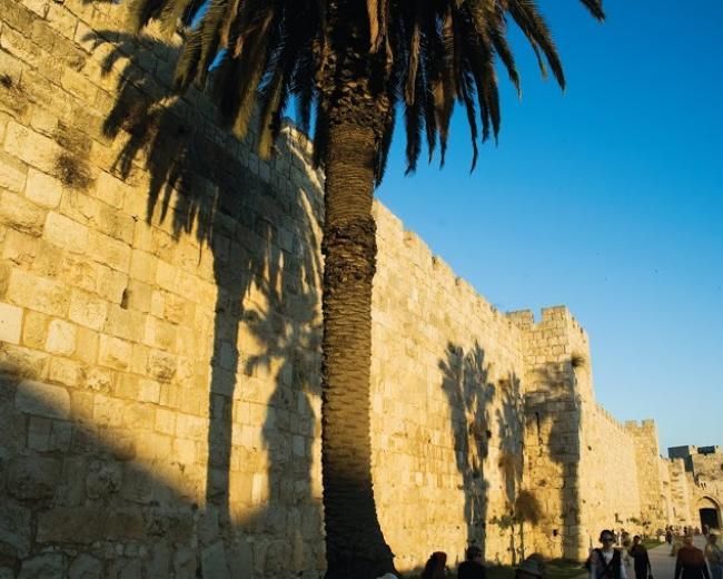 Palm tree casts shadow on ancient stone wall in Jerusalem; blue sky.