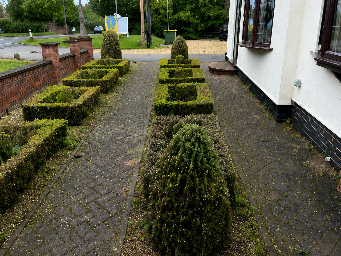 Trimmed boxwood shrubs lining a gravel path beside a white building and brick garden border.