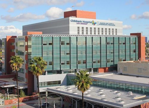 Children's Hospital building with glass façade, rooftop sign, and palm trees in front