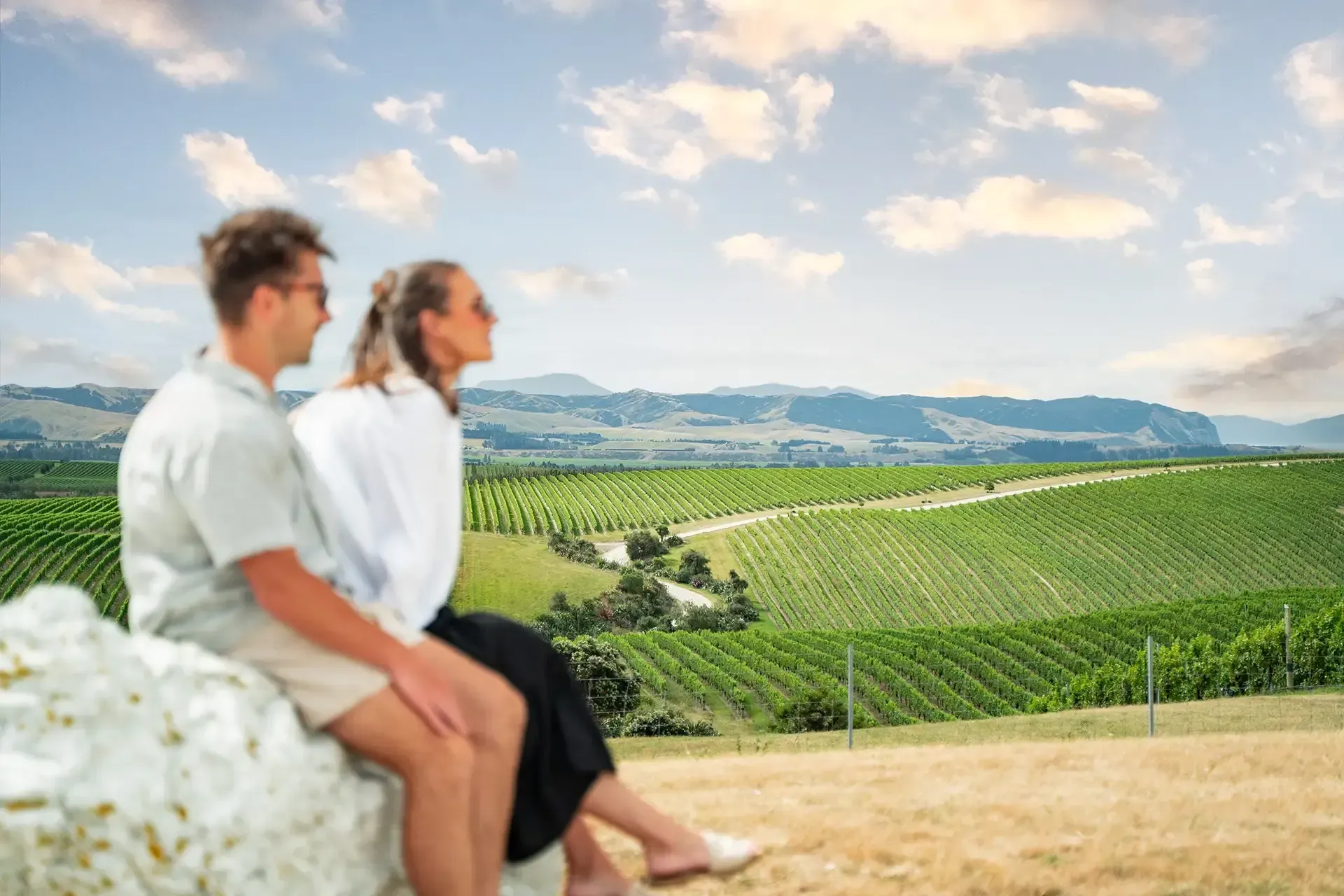 Guided Wine Tours in Marlborough