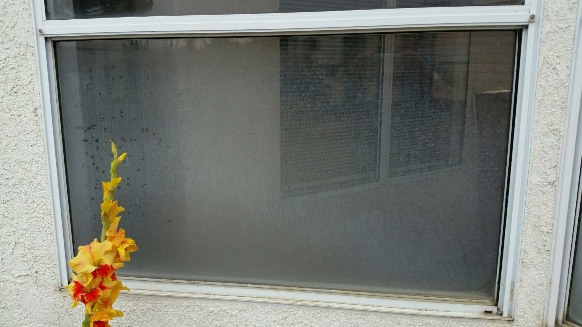 Gallery Yucaipa, CA Sunshine Janitorial Service