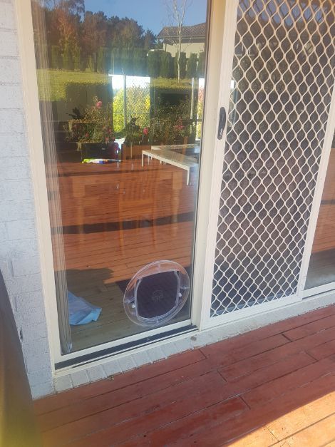 A Close Up of a door with pet door — Moss Vale Glass In Bowral, NSW