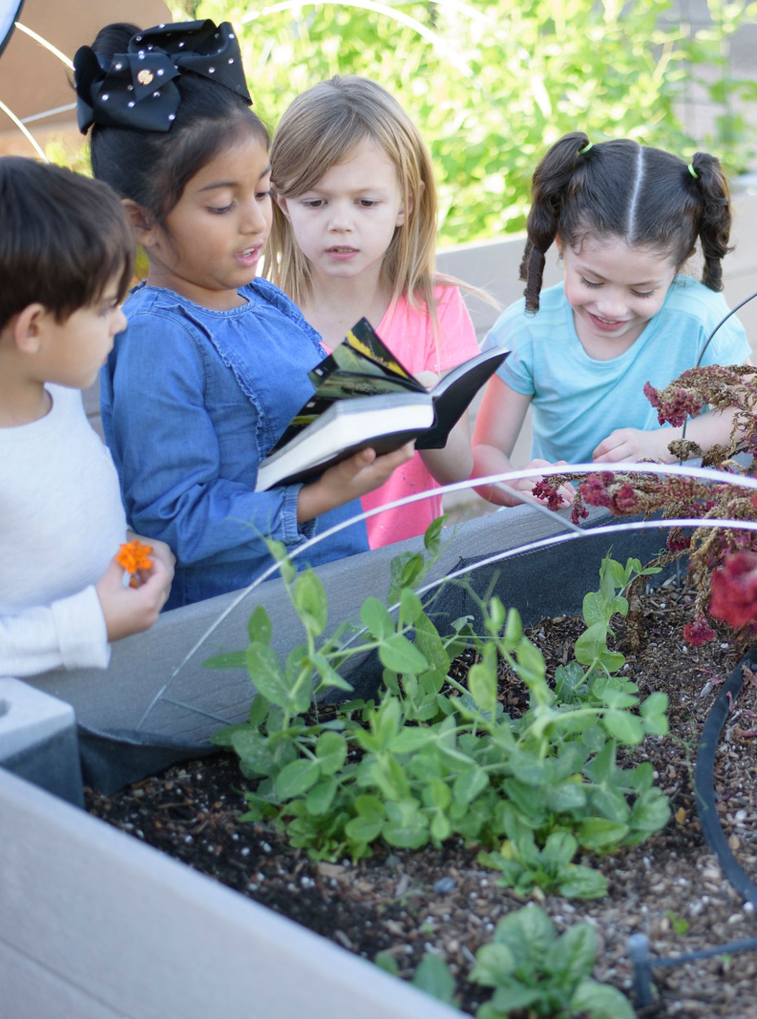 Montessori children working together in the garden