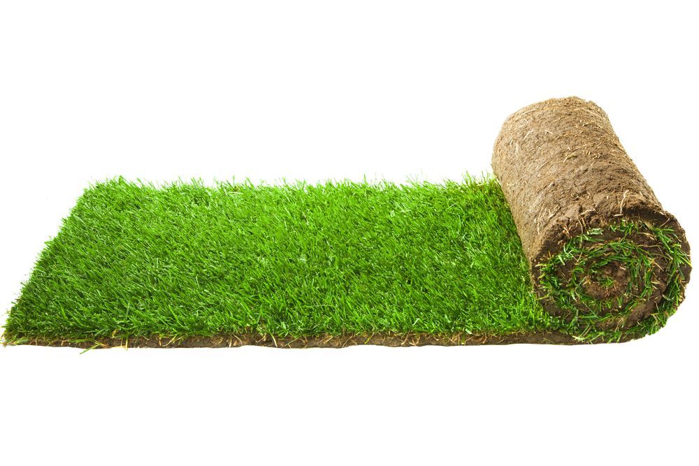 Turf