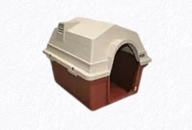 Kennels