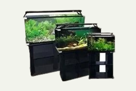 AQUARIUM