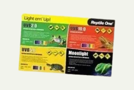LIGHT EM' UP!