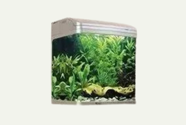 aquarium